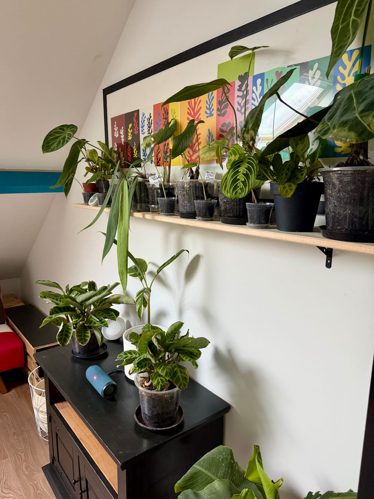 Chambre image 6 — Parenthèse jungle, photo 9