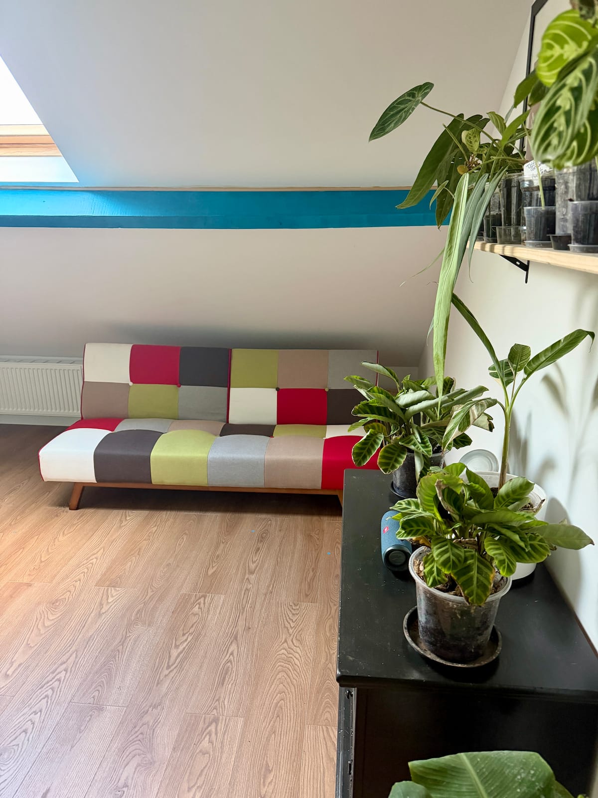 Chambre image 5 — Parenthèse jungle, photo 8