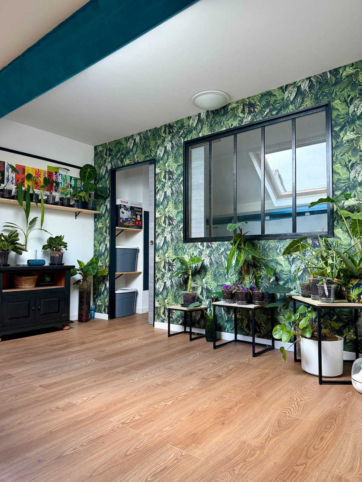 Chambre privée AIRBNB Wattignies — Parenthèse jungle, photo 4