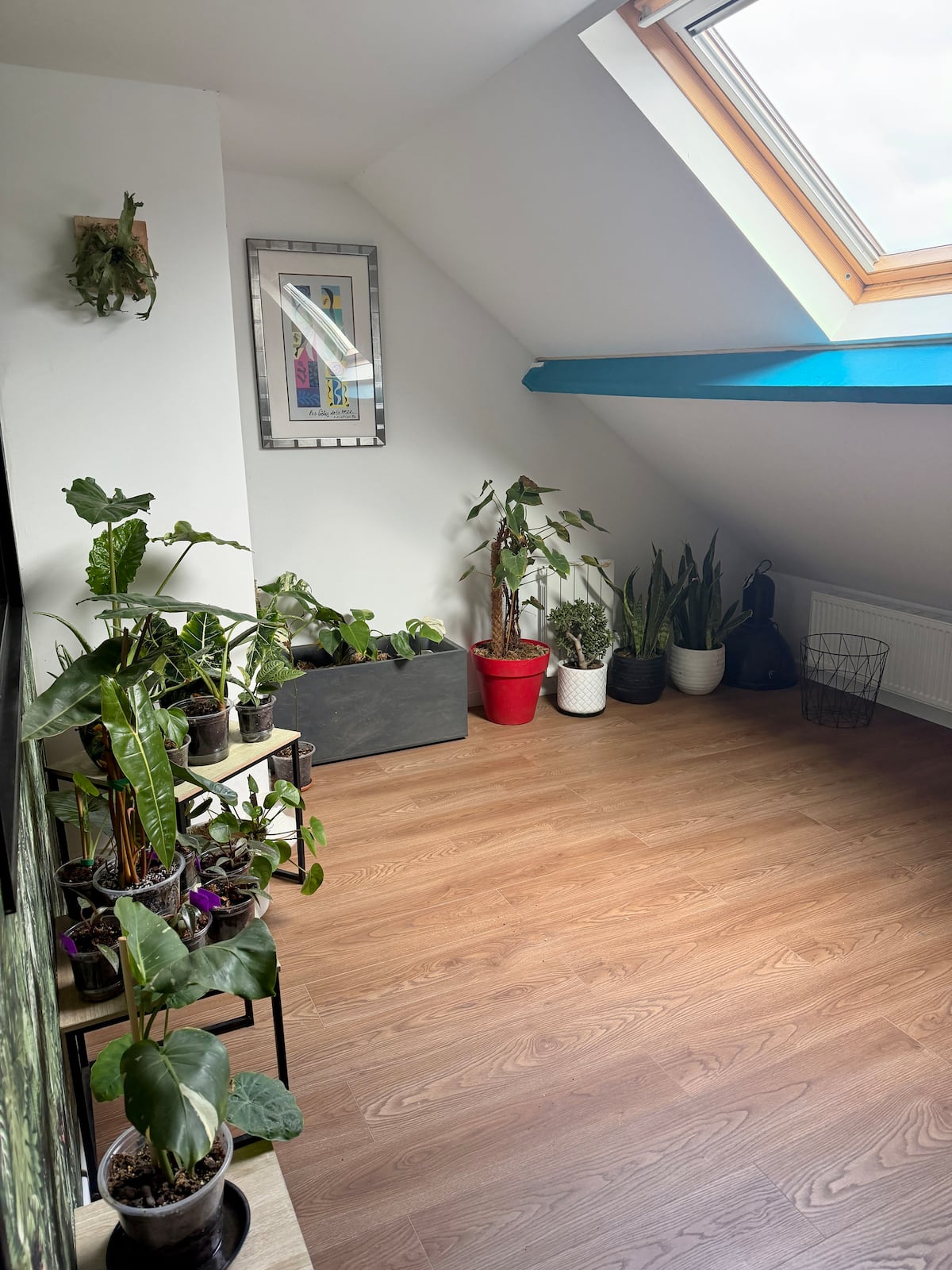 Chambre image 7 — Parenthèse jungle, photo 10