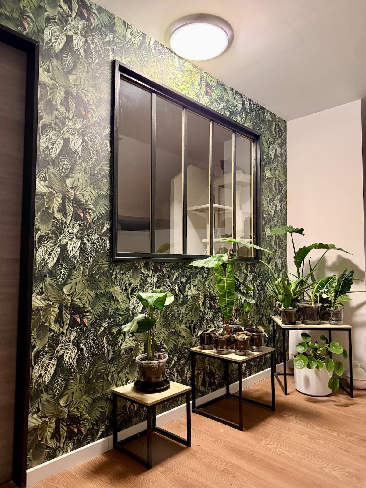 Chambre image 3 — Parenthèse jungle, photo 6