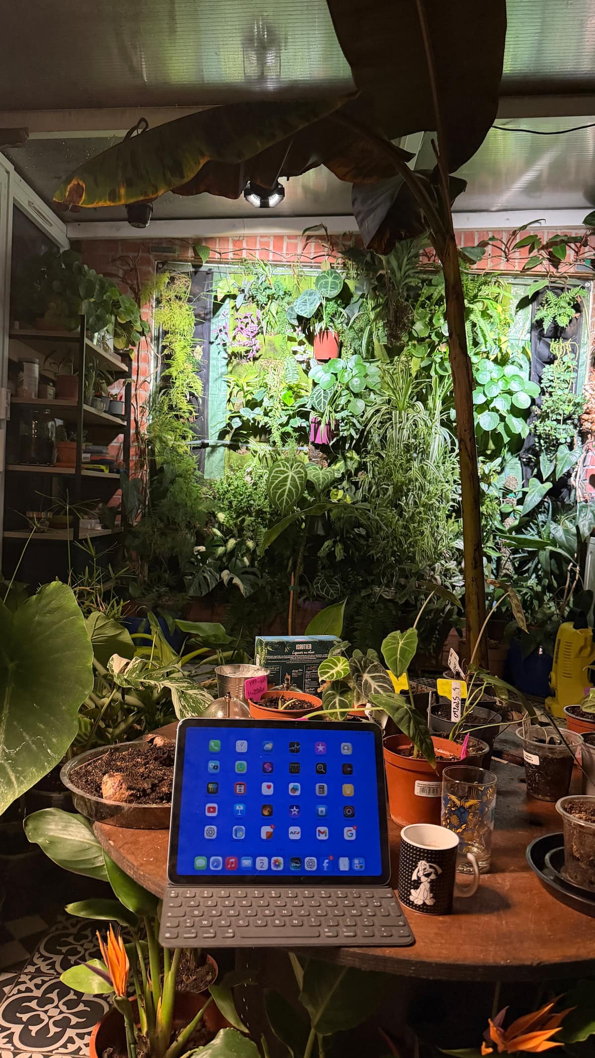 Arrière-cour partagée image 4 — Parenthèse jungle, photo 17