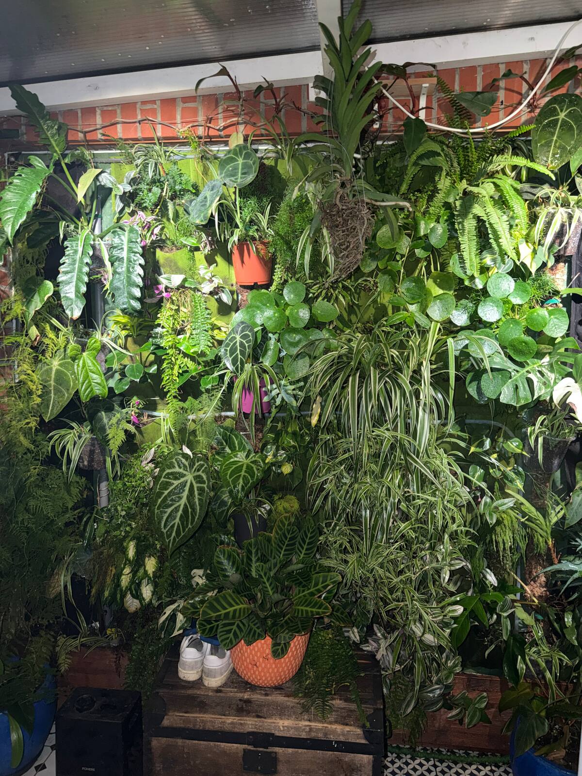 Arrière-cour partagée image 5 — Parenthèse jungle, photo 18